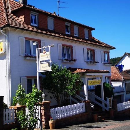 Hotel Irene Bad König Zewnętrze zdjęcie