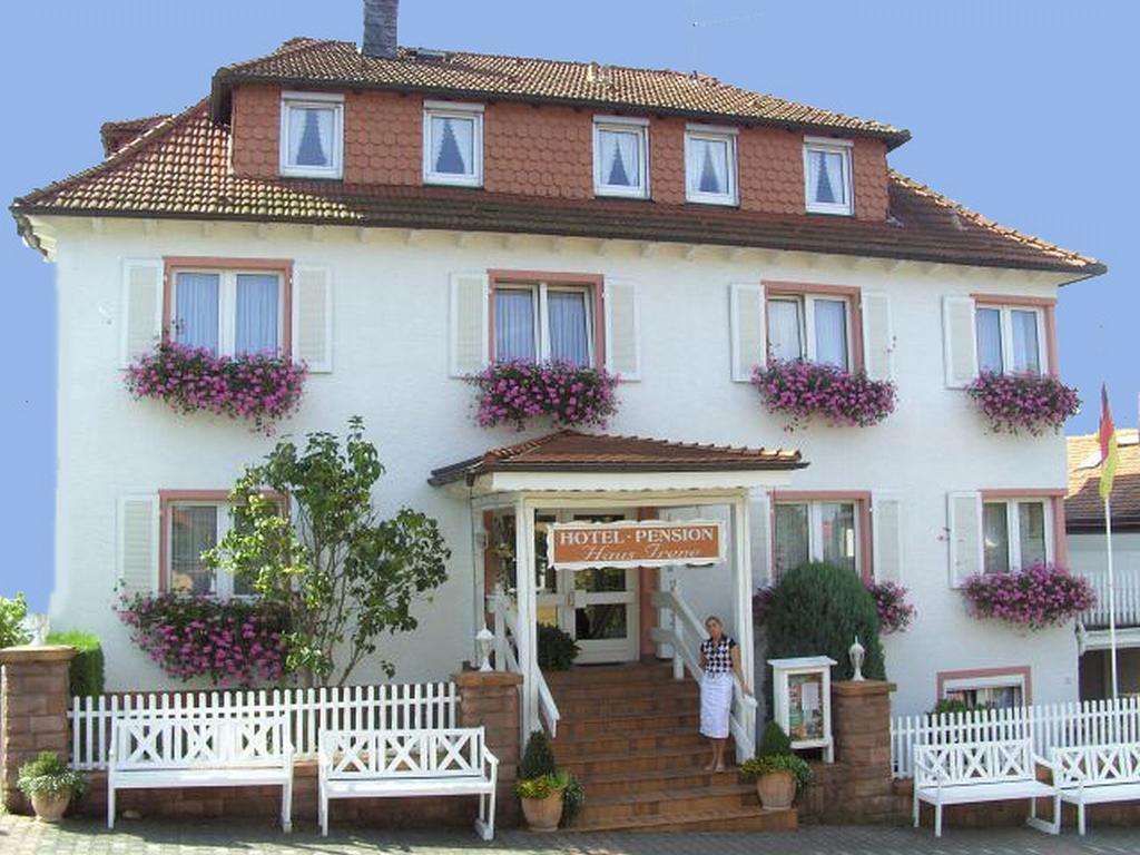 Hotel Irene Bad König Zewnętrze zdjęcie