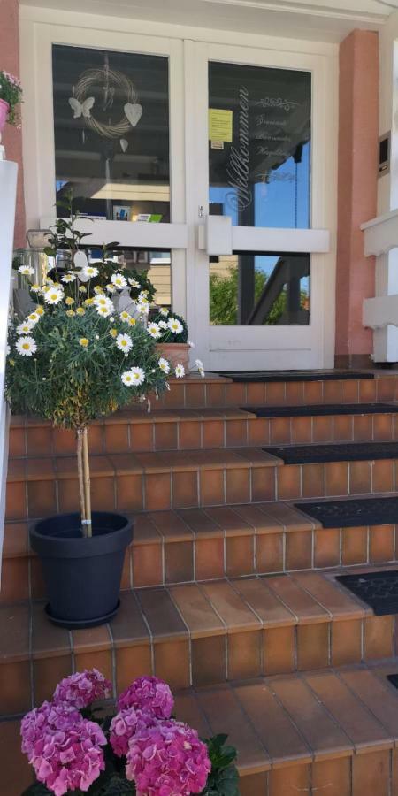 Hotel Irene Bad König Zewnętrze zdjęcie