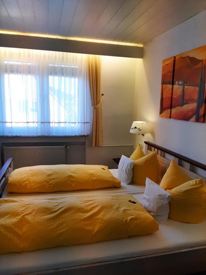 Hotel Irene Bad König Zewnętrze zdjęcie