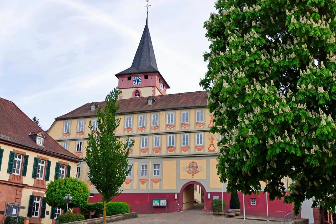 Hotel Irene Bad König Zewnętrze zdjęcie