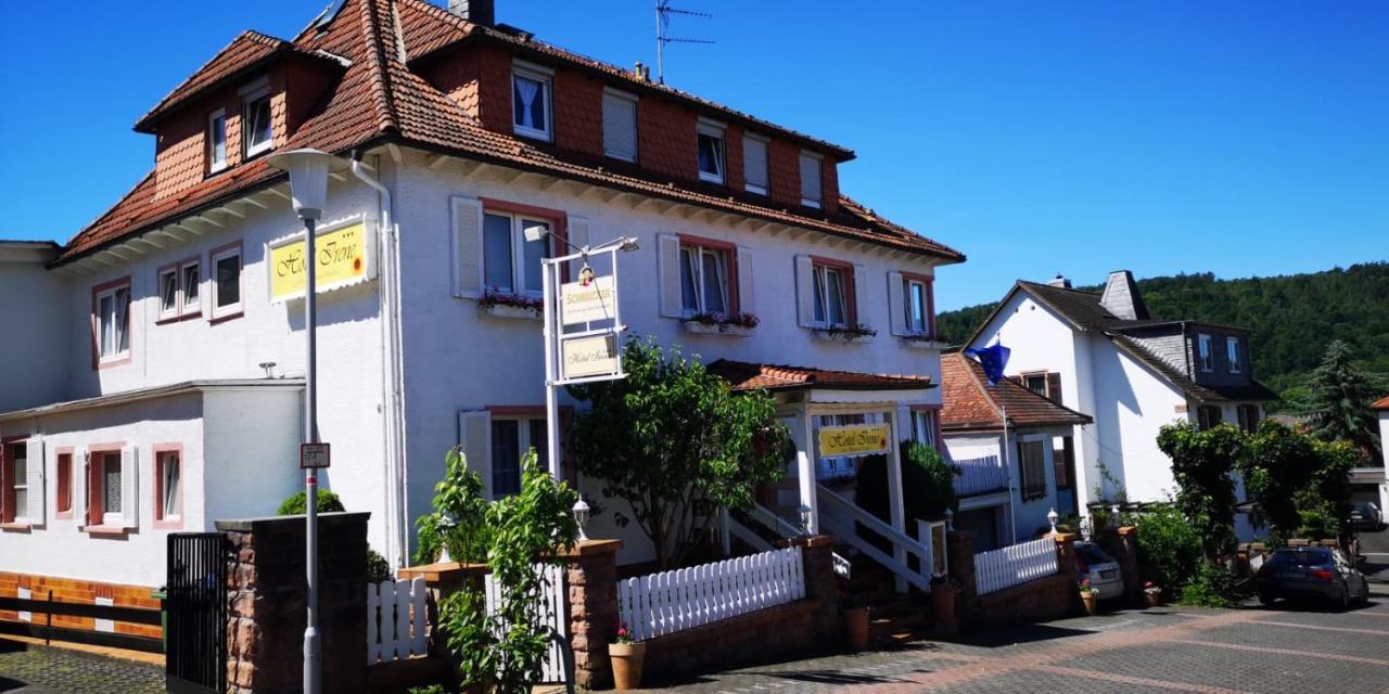 Hotel Irene Bad König Zewnętrze zdjęcie